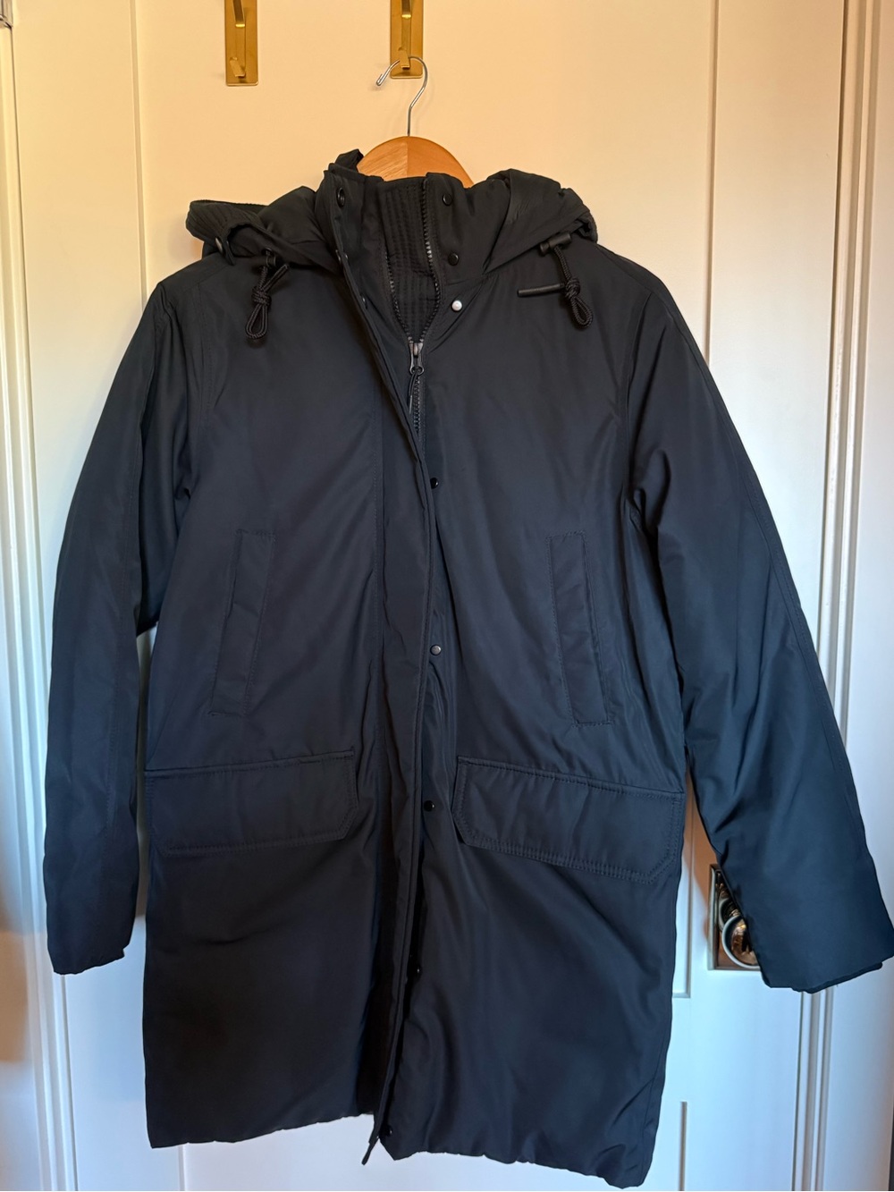 EUC Everlane Renew Puffer